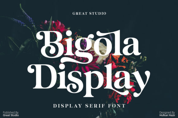 Bigola: A Bold Typeface for Modern Branding